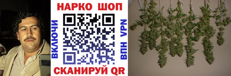 Наркошоп купить Галлюциногенные грибы  Меф мяу мяу  ГАШ  Кетамин  A-PVP  КОКАИН  Козьмодемьянск