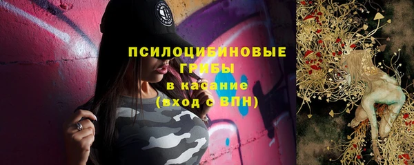 первитин Дмитров