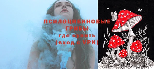 первитин Дмитров