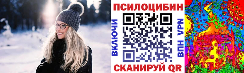 Псилоцибиновые грибы мицелий  Купить закладки  Козьмодемьянск 